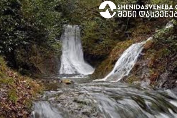 სამკურნალო წყალი “ლუგელა” – უნიკალურია არა მარტო საქართველოში, არამედ მთელ მსოფლიოში