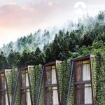 უნიკალური ბუნებრივი სუფრის სამკურნალო წყალი, გაჯერებული ქიმიური ელემენტებით, ზომიერად შეიცავს მინერალურ–იონურ კომპლექს