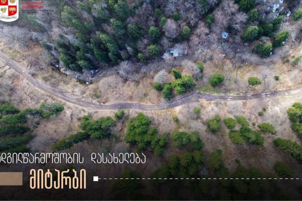 „საქპატენტი“ ადგილწარმოშობის დასახელება „მიტარბის“ შესახებ სტატიას აქვეყნებს