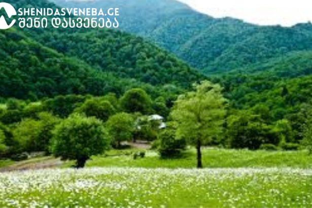 კურორტი ნუნისი – ოდითგანვე ცნობილია სამკურნალო თვისებების მქონე მინერალური (ბალნეოლოგიური) წყლებით