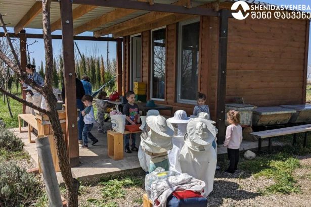 თქვენი შვილების თავგადასავლებით სავსე სამყარო ეკომეგობრულ გარემოში