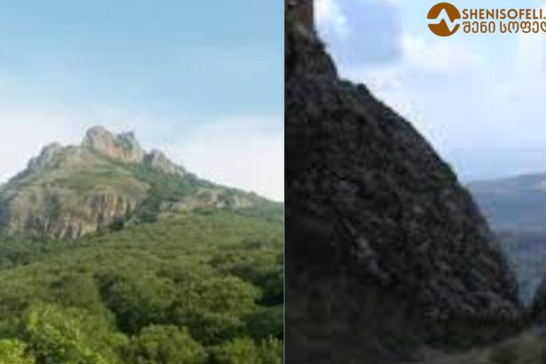 კოჯრის ციხიდან დიდი სივრცეები და ულამაზესი ხედები იშლება