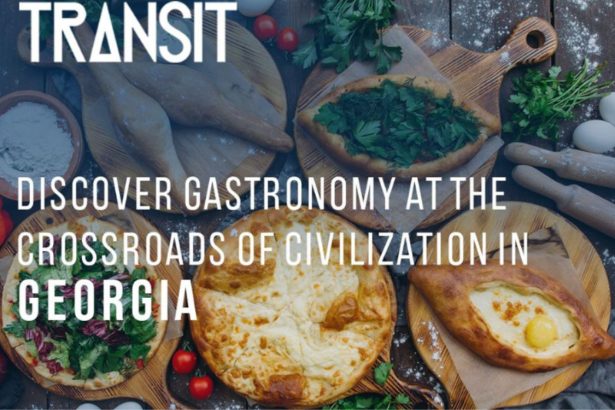 იაპონური გამოცემა Transit Magazine საქართველოს ტურისტული პოტენციალის შესახებ წერს