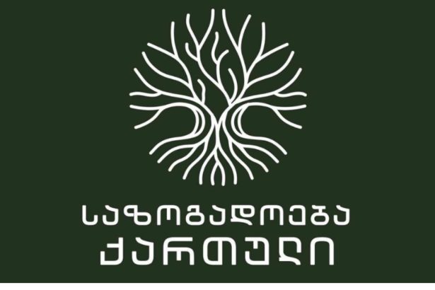 საზოგადოება „ქართული“ შეხვედრები