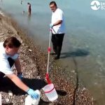 შავი ზღვის წყლის ხარისხი მთელ პერიმეტრზე ნორმის ფარგლებშია ზღვის ხარისხი