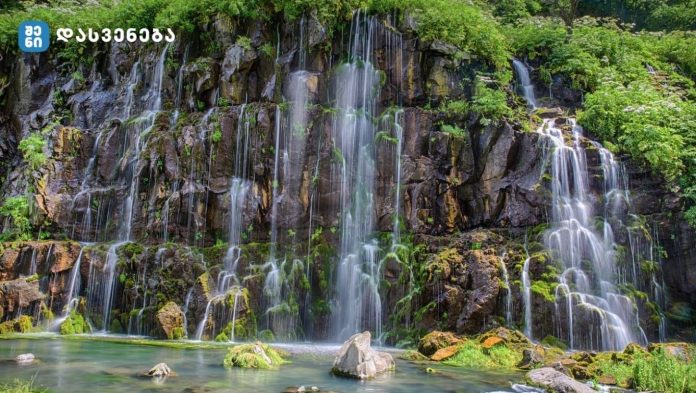 2025 წლის ყველაზე მონახულებად დაცულ ტერიტორიებს შორის წალკის კანიონი ერთ-ერთი ლიდერია - 90 000-მდე ვიზიტორს უმასპინძლა - სათავგადასავლო, ისე მშვიდი დასვენების მოყვარული ვიზიტორების ერთ-ერთი საყვარელი ადგილია