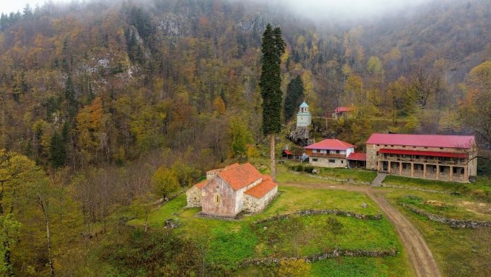 შემოდგომისფერი ქოზიფა