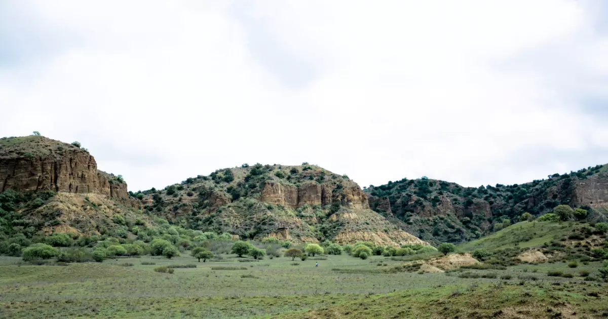 Open grassy valley with scattered trees and low shrubs, rocky brown cliffs in the distance under a cloudy sky.