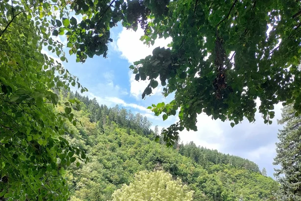 Borjomi Central Park entrance, a family-friendly resort popular with summer visitors escaping the Gulf heat.