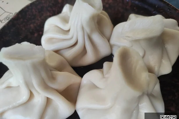 Khinkali, Georgia's iconic dumpling, a familiar-shaped dish for Japanese visitors to try.