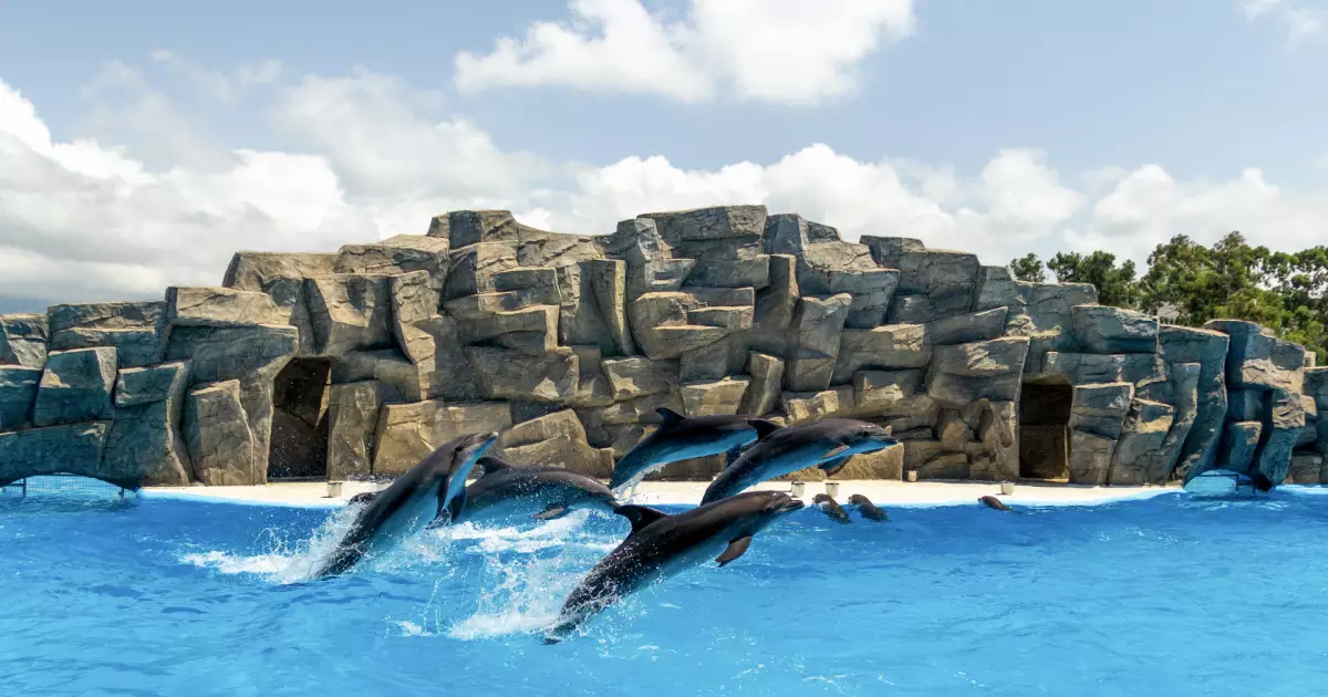 Batumi Dolphinarium
