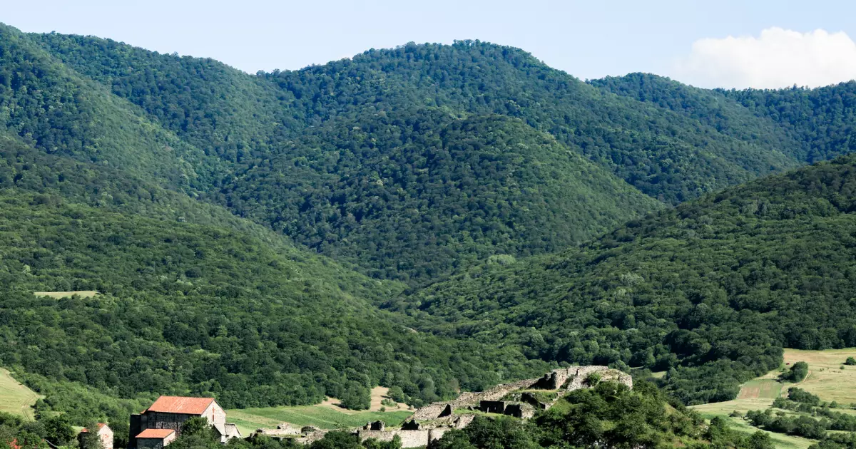 Dmanisi