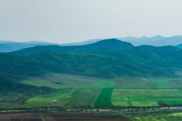 Nikozi