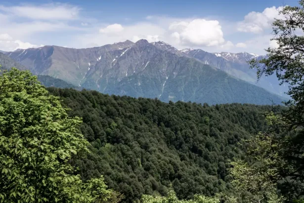 Pankisi Gorge
