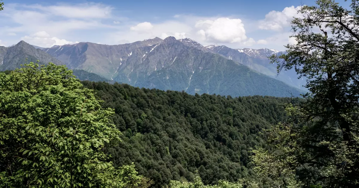 Pankisi Gorge