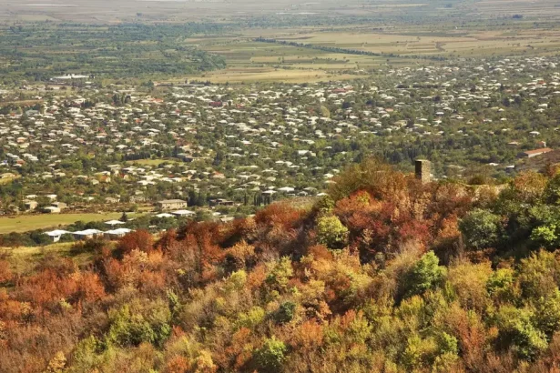 Tsnori