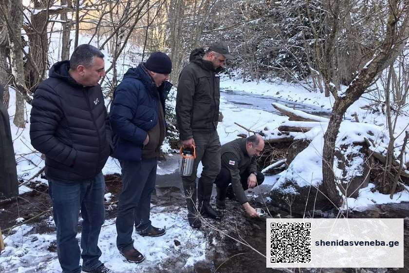 მდინარეების დათევზიანების პროგრამის ფარგლებში, ალგეთის ეროვნულ პარკში მდინარეები „წითელი ნუსხის“ სახეობის ნაკადულის კალმახის 40 000 ქვირითით დათევზიანდა | შენი დასვენება