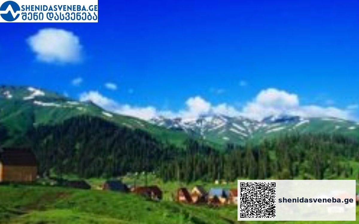 ტურისტებისთვის საინტერესო და ულამაზესი ადგილები ზღაპრულ ზემო აჭარაში | შენი დასვენება