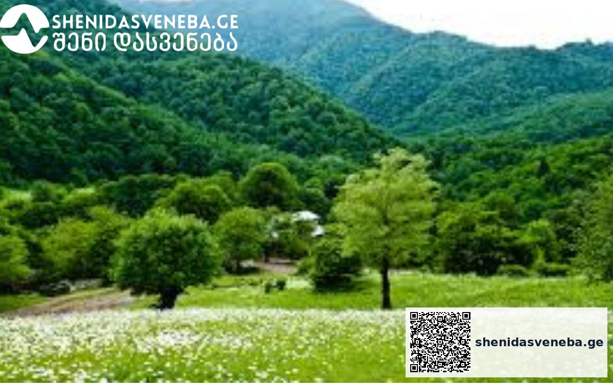 კურორტი ნუნისი – ოდითგანვე ცნობილია სამკურნალო თვისებების მქონე მინერალური (ბალნეოლოგიური) წყლებით | შენი დასვენება