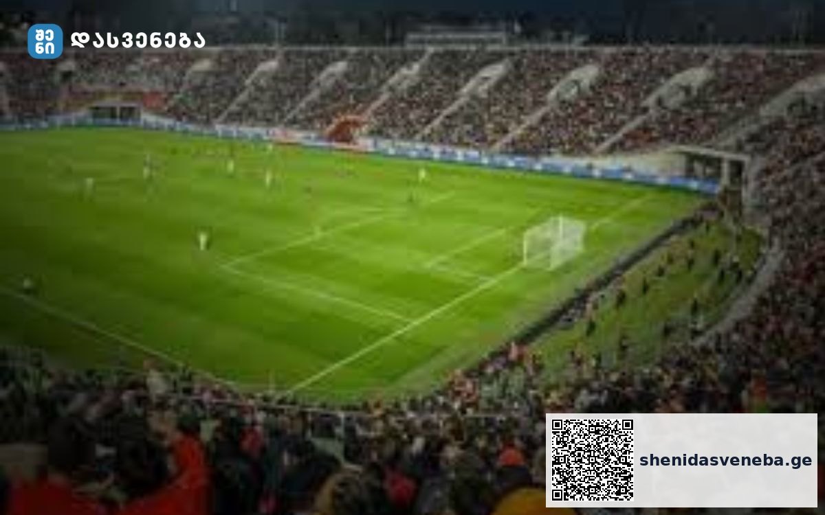 საქართველო-ჩეხეთის მატჩის ყველა ბილეთი 1 საათში გაიყიდა | შენი დასვენება