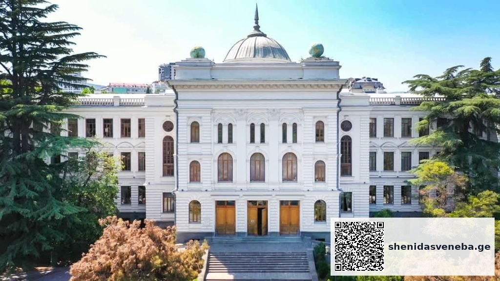 როდის შეუერთდა ვაკე თბილისს? | შენი დასვენება