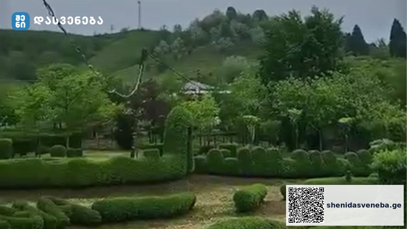 აკაკი ჯიჯელავას ეზო მარტვილის რაიონის სოფელი ტალერში | შენი დასვენება