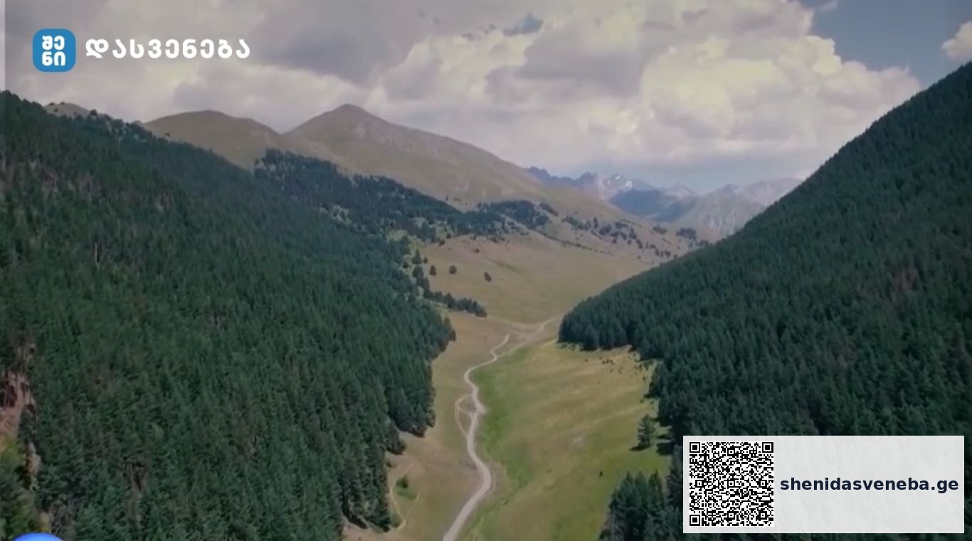 🏔️⛺️🌊 სად ისვენებენ წელს ქართველი მოგზაურები და რატომ ხდება ჩვენი ქვეყანა ბევრისთვის ზაფხულის გასატარებლად საუკეთესო ადგილი | შენი დასვენება