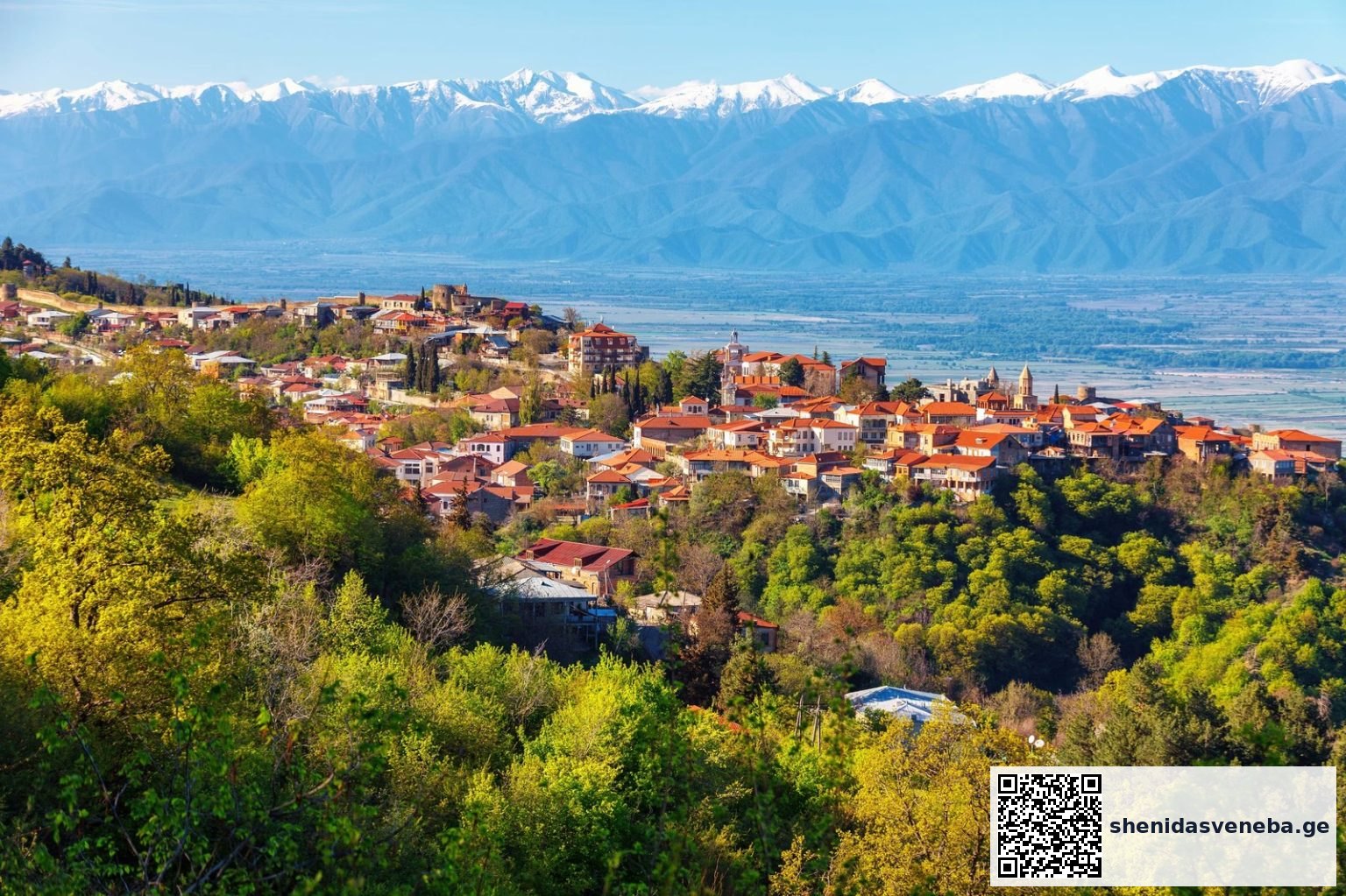 რთველი — რა ხდება სინამდვილეში ქართულ მოსავალზე | შენი დასვენება